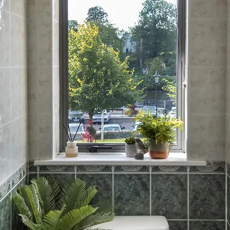 Waterfront View Apartment Carrick-on-Shannon